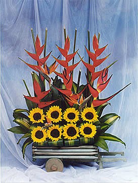 exoticos girasoles $110.000